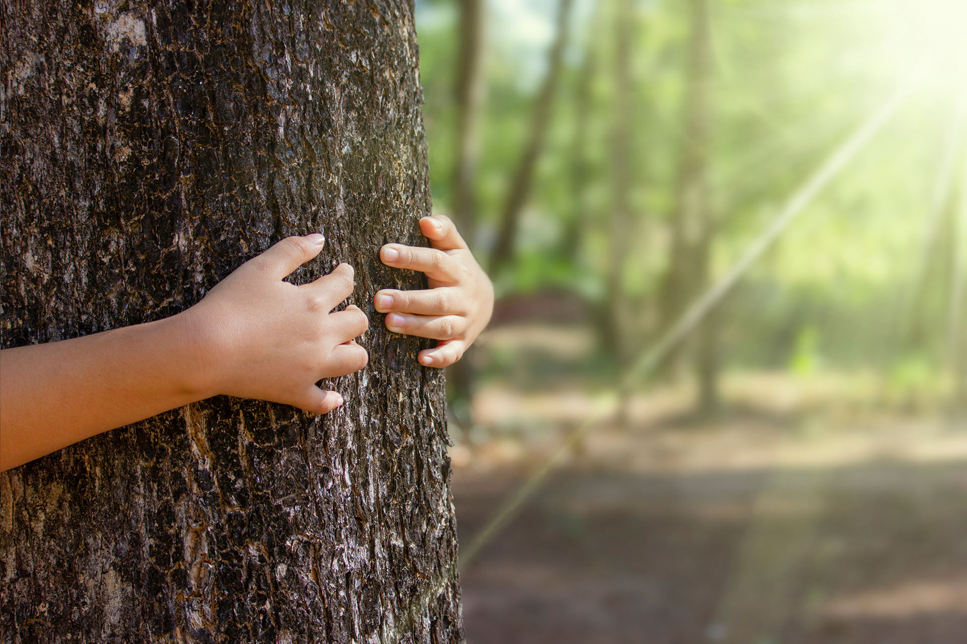 Tree hugging, little boy giving a tree